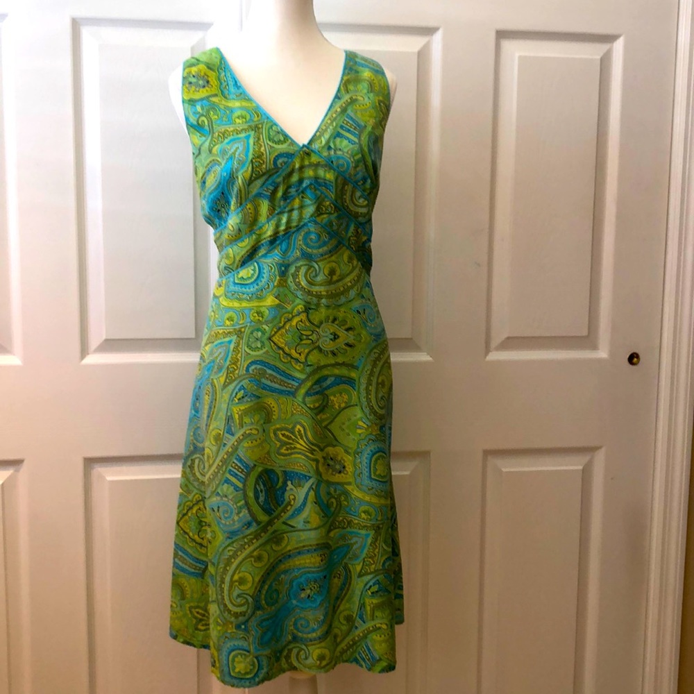 Silk Dress Paisley.